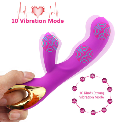 10 スピード 充電可能なクリトラル刺激器 成人 インティム 成人 セックス トイ 女性用