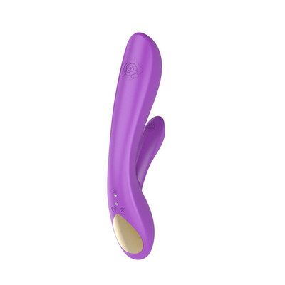 12 スピード振動 成人セックス製品 ジュエット セックス バイブラータ セックス 玩具 女性 女性 ミニ 弾丸バイブラータ