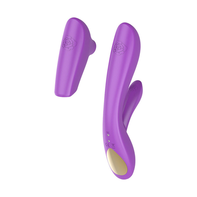 12 スピード振動 成人セックス製品 ジュエット セックス バイブラータ セックス 玩具 女性 女性 ミニ 弾丸バイブラータ
