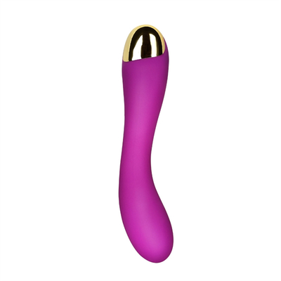 10 スピード ディルド振動器 USB 再充電可能なGスポット クリトリス振動器 マッサージ 女性用