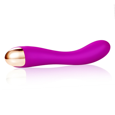 10 スピード ディルド振動器 USB 再充電可能なGスポット クリトリス振動器 マッサージ 女性用