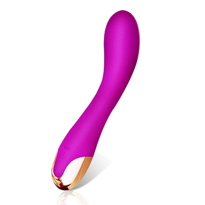 10 スピード ディルド振動器 USB 再充電可能なGスポット クリトリス振動器 マッサージ 女性用