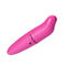 ピンクGの点のバイブレーターはロケットのイルカの女性のおもちゃのバイブレーターを懐に入れる
